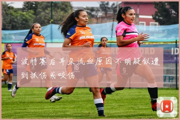 波特赛后耳朵流血原因不明疑似遭到抓伤或咬伤