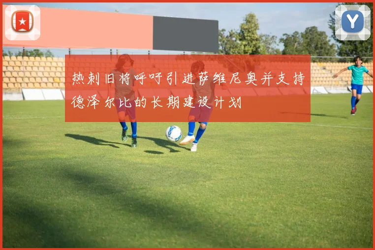 热刺旧将呼吁引进萨维尼奥并支持德泽尔比的长期建设计划